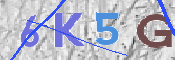 この文字を入力してください