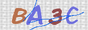 この文字を入力してください
