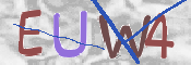 この文字を入力してください