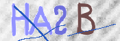 この文字を入力してください