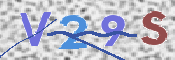 この文字を入力してください