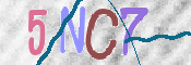 この文字を入力してください