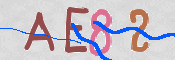 この文字を入力してください