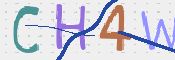 この文字を入力してください