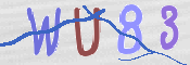 この文字を入力してください