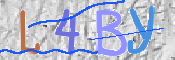 この文字を入力してください