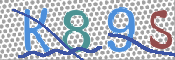 この文字を入力してください