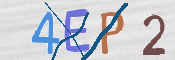 この文字を入力してください
