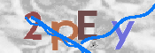 この文字を入力してください