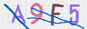 この文字を入力してください