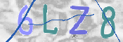 この文字を入力してください
