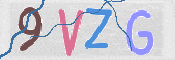 この文字を入力してください