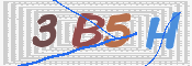 この文字を入力してください