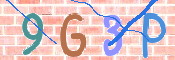 この文字を入力してください
