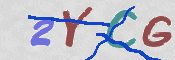 この文字を入力してください