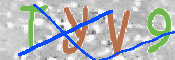 この文字を入力してください