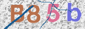 この文字を入力してください