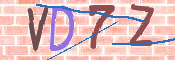 この文字を入力してください