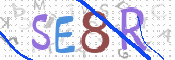 この文字を入力してください