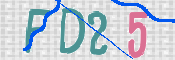 この文字を入力してください