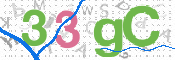 この文字を入力してください