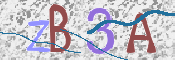 この文字を入力してください