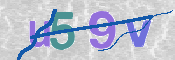 この文字を入力してください