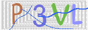 この文字を入力してください