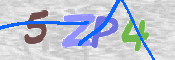 この文字を入力してください