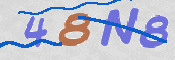 この文字を入力してください