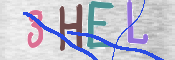 この文字を入力してください