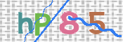 この文字を入力してください