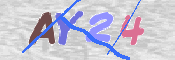 この文字を入力してください