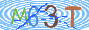 この文字を入力してください