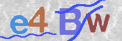 この文字を入力してください