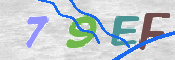 この文字を入力してください