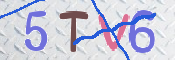 この文字を入力してください
