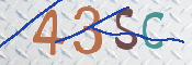 この文字を入力してください