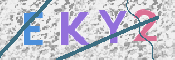 この文字を入力してください