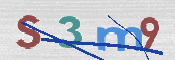 この文字を入力してください
