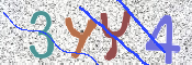この文字を入力してください