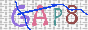 この文字を入力してください