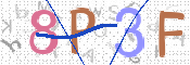 この文字を入力してください