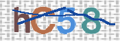 この文字を入力してください