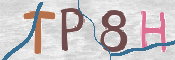 この文字を入力してください