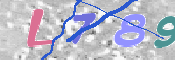 この文字を入力してください