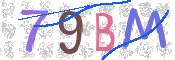 この文字を入力してください