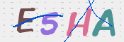 この文字を入力してください