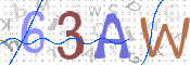 この文字を入力してください