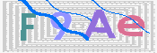 この文字を入力してください